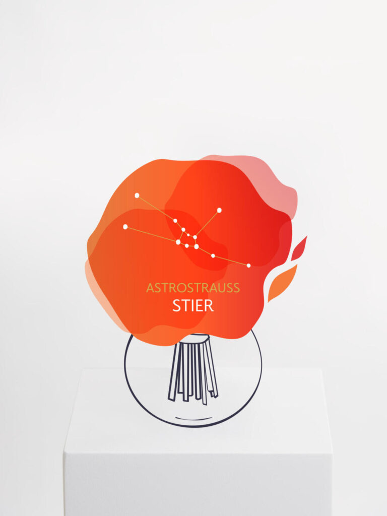 Astrostrauß Stier
